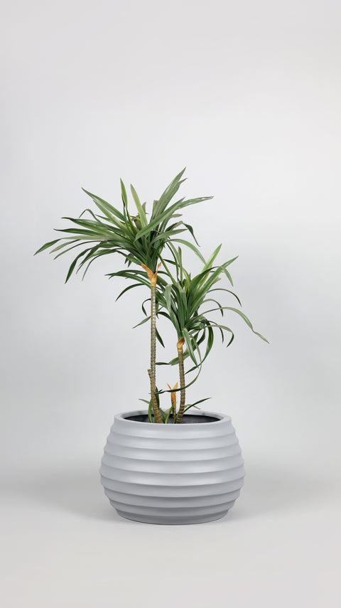 Ring Fiberglass Planter - Signal Grey 🌿