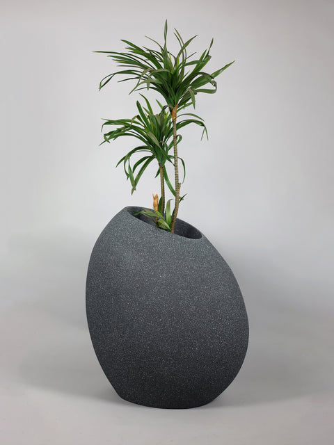Patato - C Fiberglass Planter - Granite🌿