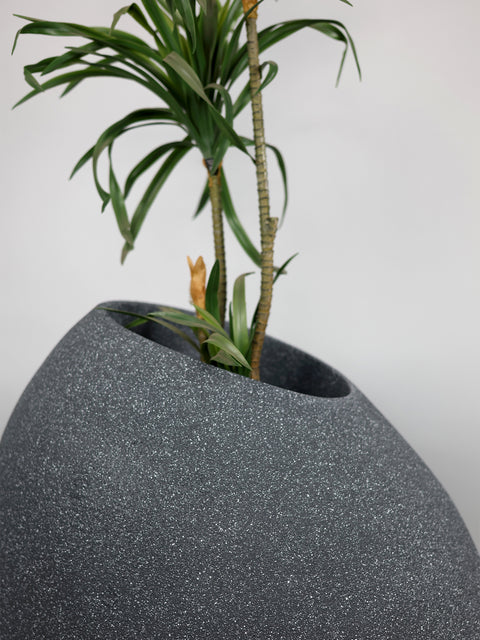 Patato - C Fiberglass Planter - Granite🌿