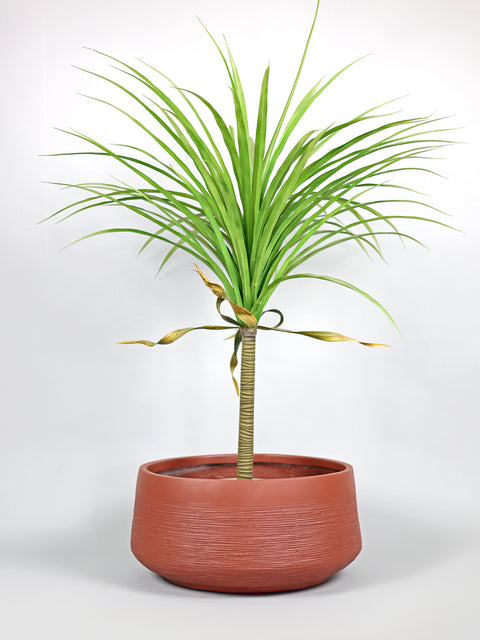 Oak Fiberglass Planter - Terracotta πΏ