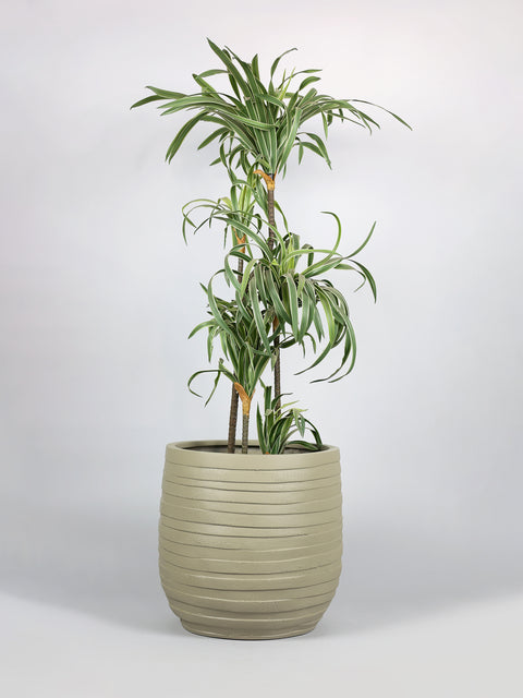 Cone Fiberglass Planter - Yellow Grey πΏ