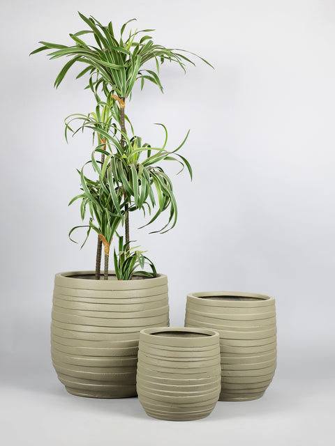 Cone Fiberglass Planter - Yellow Grey πΏ