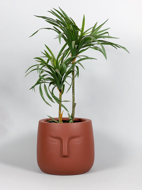 E.Pot-B Fiberglass Planter - Terracotta 🌿