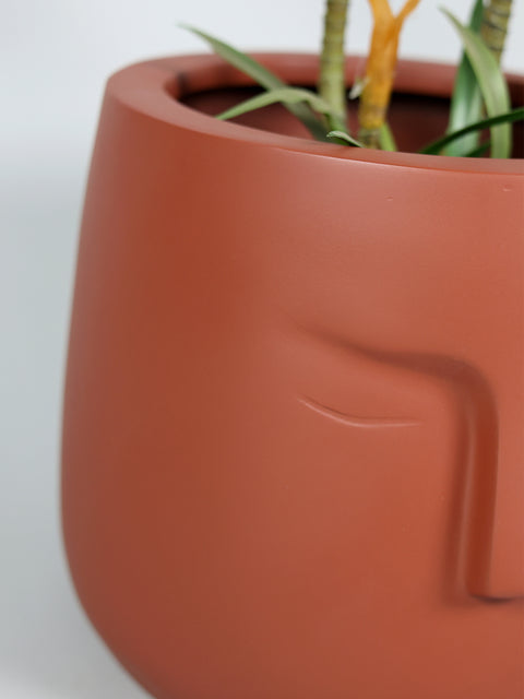 E.Pot-B Fiberglass Planter - Terracotta 🌿