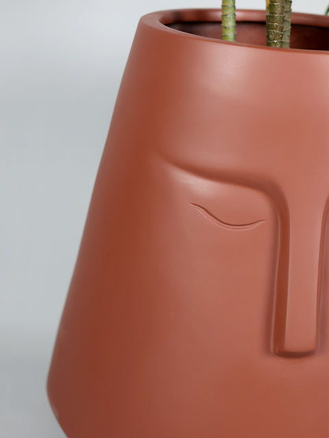 E.Pot-A Fiberglass Planter - Terracotta πΏ