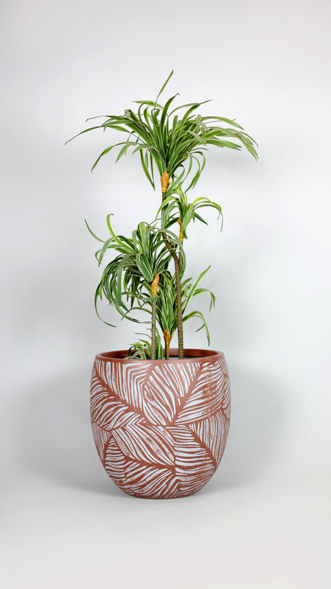 Leaf Fiberglass Planter - Terracotta πΏ