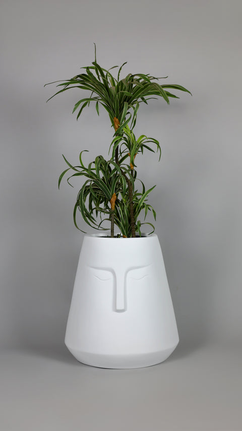 E-Pot - A Fiberglass Planter - White πΏ