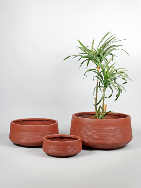 How to Take Care of Fiber Planters: Easy Tips for Long-Lasting Beauty