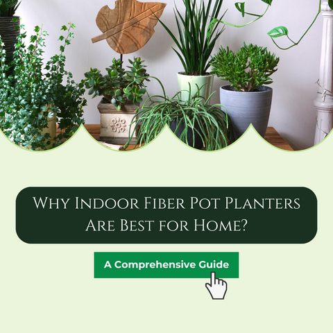 Why Indoor Fiber Pot Planters Are Best for Home: A Comprehensive Guide